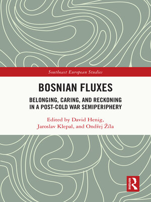 cover image of Bosnian Fluxes